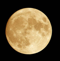 Full Moon-Golden-Square2x2